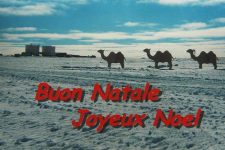 Merry Christmas