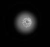 First image of Canopus in the SSS