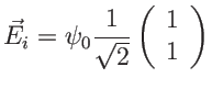 $\displaystyle \vec E_i= \psi_0 \frac{1}{\sqrt{2}} \left( \begin{array}{cc}1\\ 1\end{array}\right)
$