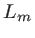 $L_m$
