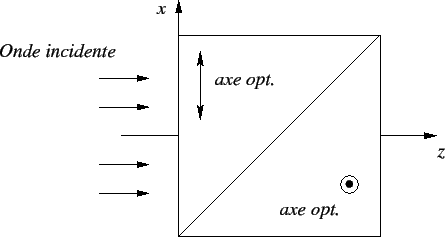 \includegraphics{wollaston.eps}
